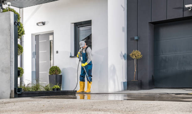 Best Roof Washing  in Avondale, PA